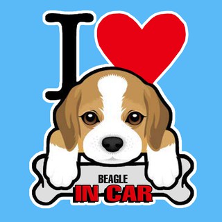 สติกเกอร์ จุ๊บติดกระจก แผ่นแม่เหล็กติดรถยนตร์ สติกเกอร์หมา BEAGLE  AC17B