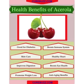 ผงอะเซโรลาเชอร์รี่ วิตามินซี 17% ยี่ห้อ Feaga Life 80 กรัม Acerola Cherry Powder