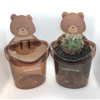 กระถางแคคตัสหมี กระถางพลาสติก l Bear Shaped Cactus Pots l กระถางต้นไม้