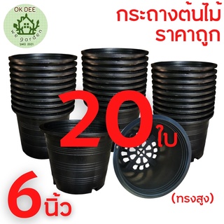 กระถางพลาสติกดำ ขนาด6นิ้ว กระถาง เซต 20 ใบ ราคาส่ง พลาสติกชนิดดี