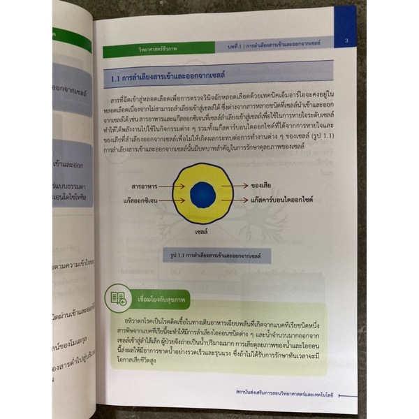 หนังสือเรียน วิทยาศาสตร์ชีวภาพ ม.4 สสวท (ปรับปรุงปี2560) สสวท กระทรวงศึกษาธิการ (ราคา79บาท) - รูปที่ 6