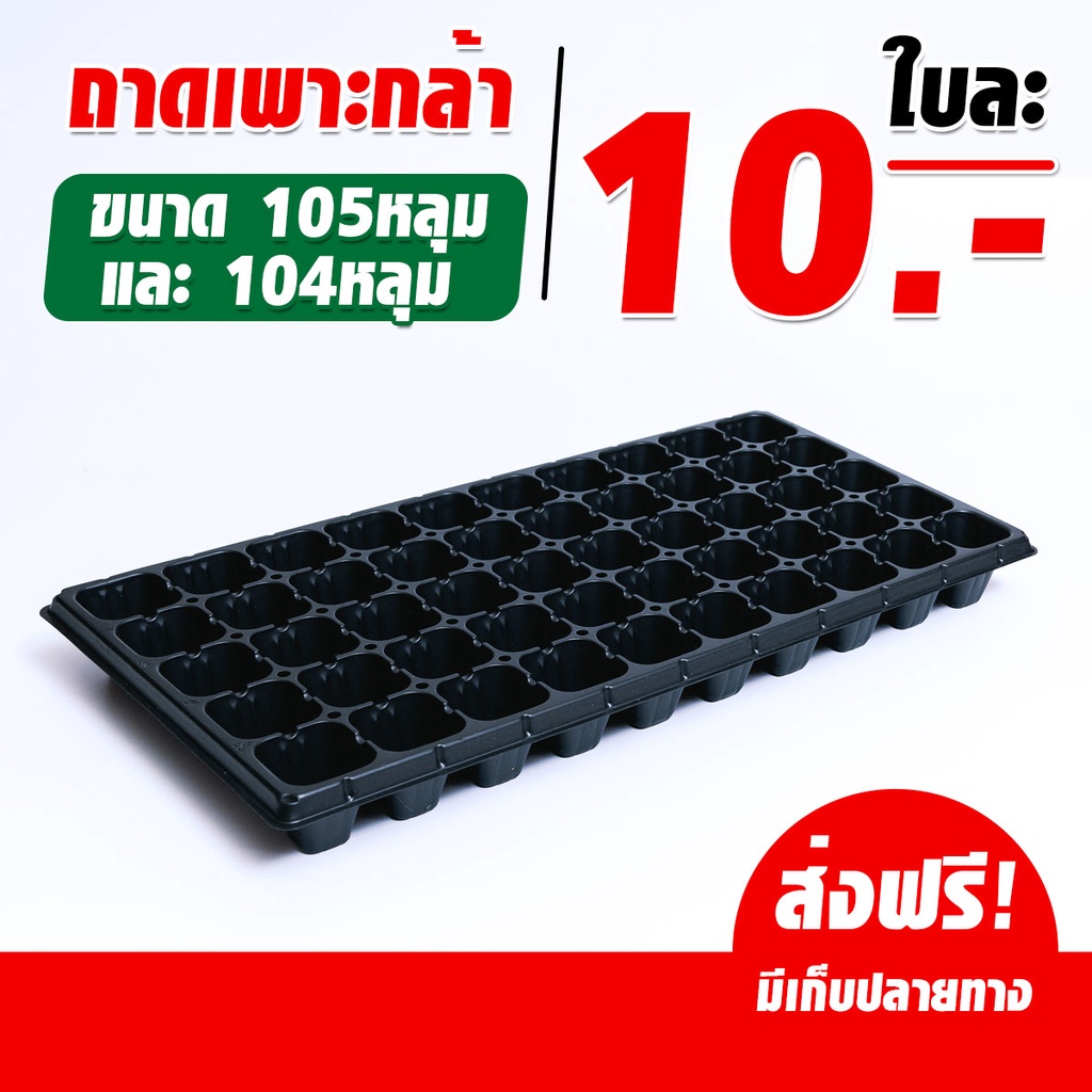 ถาดเพาะกล้า ถาดเพาะชำ ถาดเพาะเมล็ด ขนาด 104-105 หลุม - สินค้าพร้อมส่ง