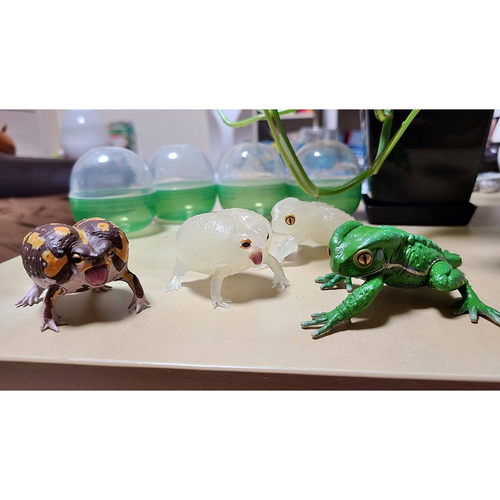 (เพิ่มครบชุดพร้อมส่ง) กาชาปองกบต้นไม้ Gashapon SO-TA Breviceps Adspersus & Waxy Monkey Tree Frog โมเดลสัตว์ - รูปที่ 4