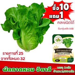 (ซื้อ10แถม1 ฟรีคู่มือ) เมล็ดพันธุ์ ผักกาดหอม อิตาลี ITALIAN LETTUCE  2กรัม (ประมาณ 2,000 เมล็ด) ทำมะชาดฟาร์ม ผักสลัด