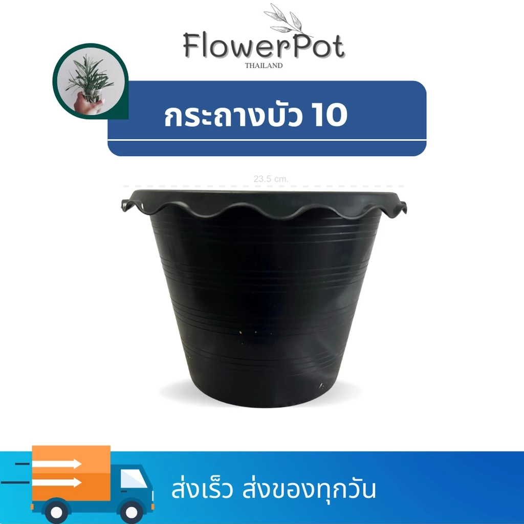 กระถางบัว เบอร์ 10 (ปากกว้าง 8 นิ้ว) สีดำ ปลูกบัว ไม่มีรุ