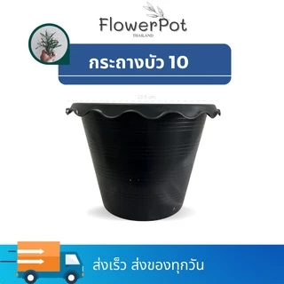 กระถางบัว เบอร์ 10 (ปากกว้าง 8 นิ้ว) สีดำ ปลูกบัว ไม่มีรุ