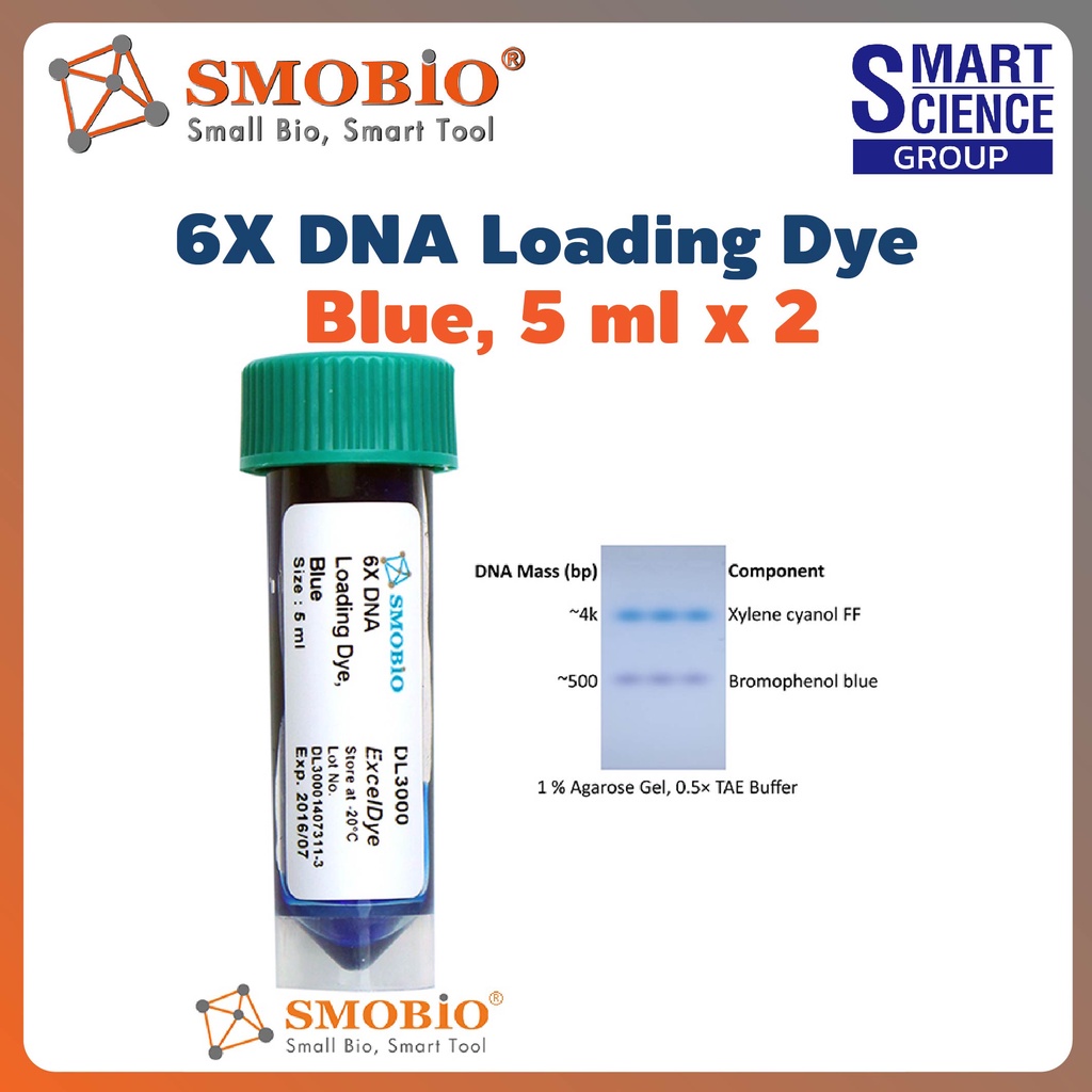 ExcekDye 6X DNA Loading Dye 4,000 bp and 500 bp Xylene cyanol FF Bromophenol blue agarose electropho