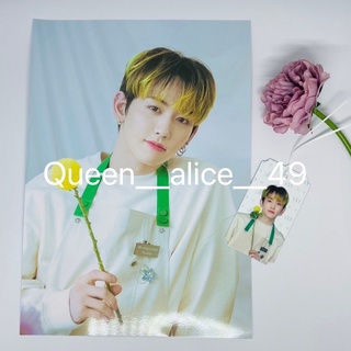 💐พร้อมส่ง🌻 Blooming Treasure Poster A4 + Photo Bookmark