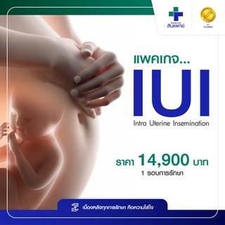 [E-Voucher] สินแพทย์ - แพ็กเกจ IUI