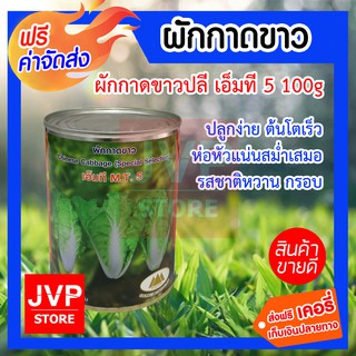 **ส่งฟรี**เมล็ดขาวปลีคัดพิเศษเอ็มที5 100g. ตราภูเขาทอง ปลูกง่าย โตเร็ว หัวห่อแน่นสม่ำเสมอ รสชาติหวานกรอบ