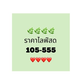 ❤️❤️ราคาในไลฟ์สด❤️❤️ 105 120 125 140 160 180