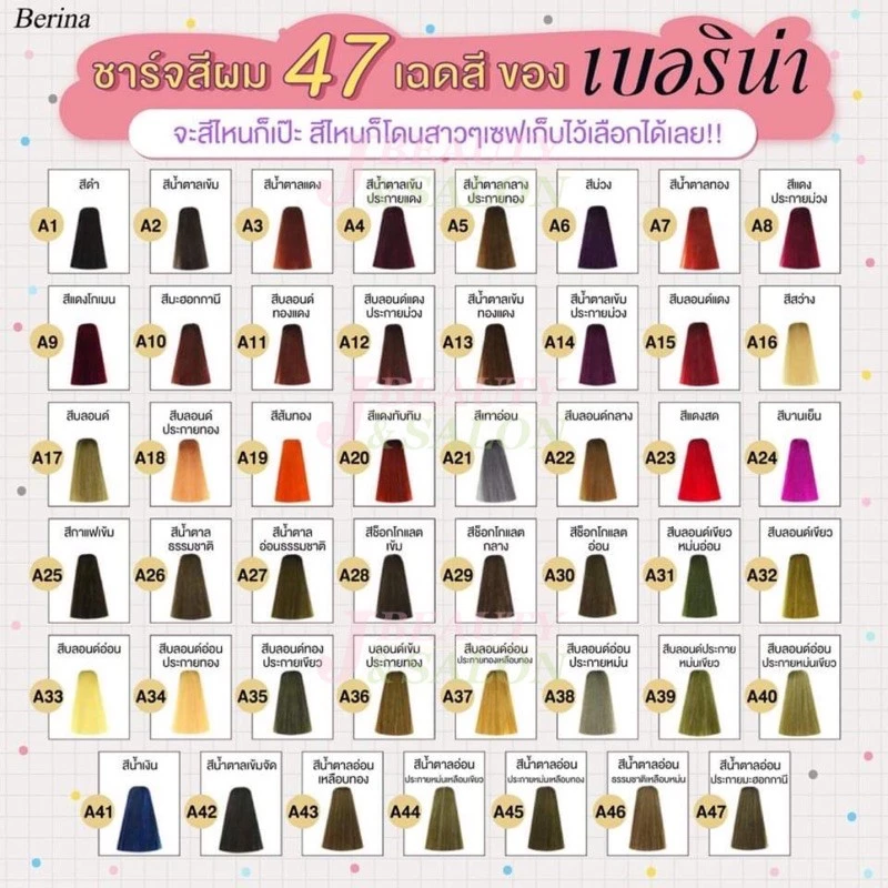 Berina Hair Color สีย้อมผม 47 เฉดสี ปิดผมขาว ติดทนนาน thumbnail 3