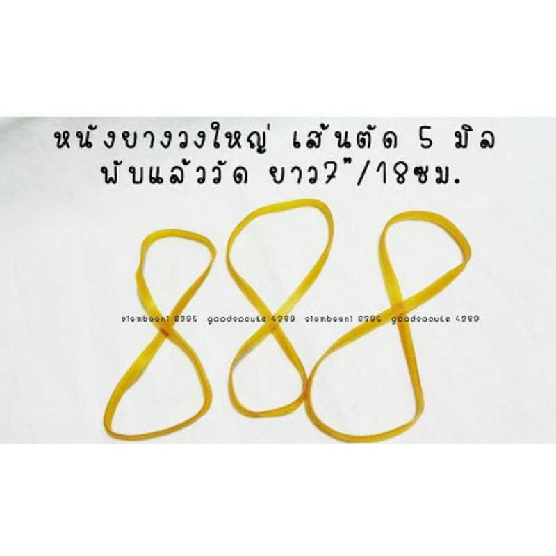 1/2กก.(500ก.)หนังยางแถบหนาวงใหญ่ rubber band ยางอุตสาหกรรม เส้นตัด 5มม.พับทบยาว 7"/18ซม.
