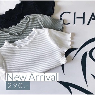 CDC - T-Shirt Knit (ฟรีค่าส่ง)