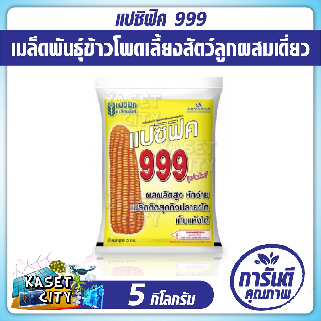 ข้าวโพดเลี้ยงสัตว์ ตราแปซิฟิค 999  3.5 หุน  ขนาด 5 กก.  1 ถุง  ข้าวโพด เมล็ดพันธุ์  เมล็ดผัก