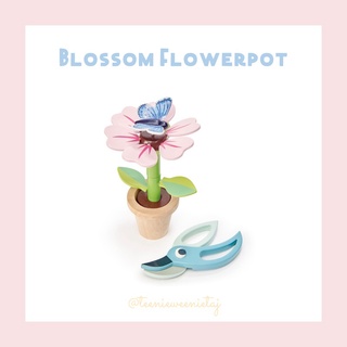 Tender Leaf Toys | Blossom Flowerpot   ของเล่นดอกไม้สีหวานละมุน