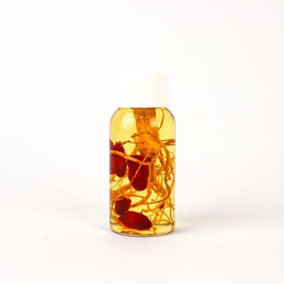 Minyak Bulus Ginseng Merah 20ml Asli Bau Amis