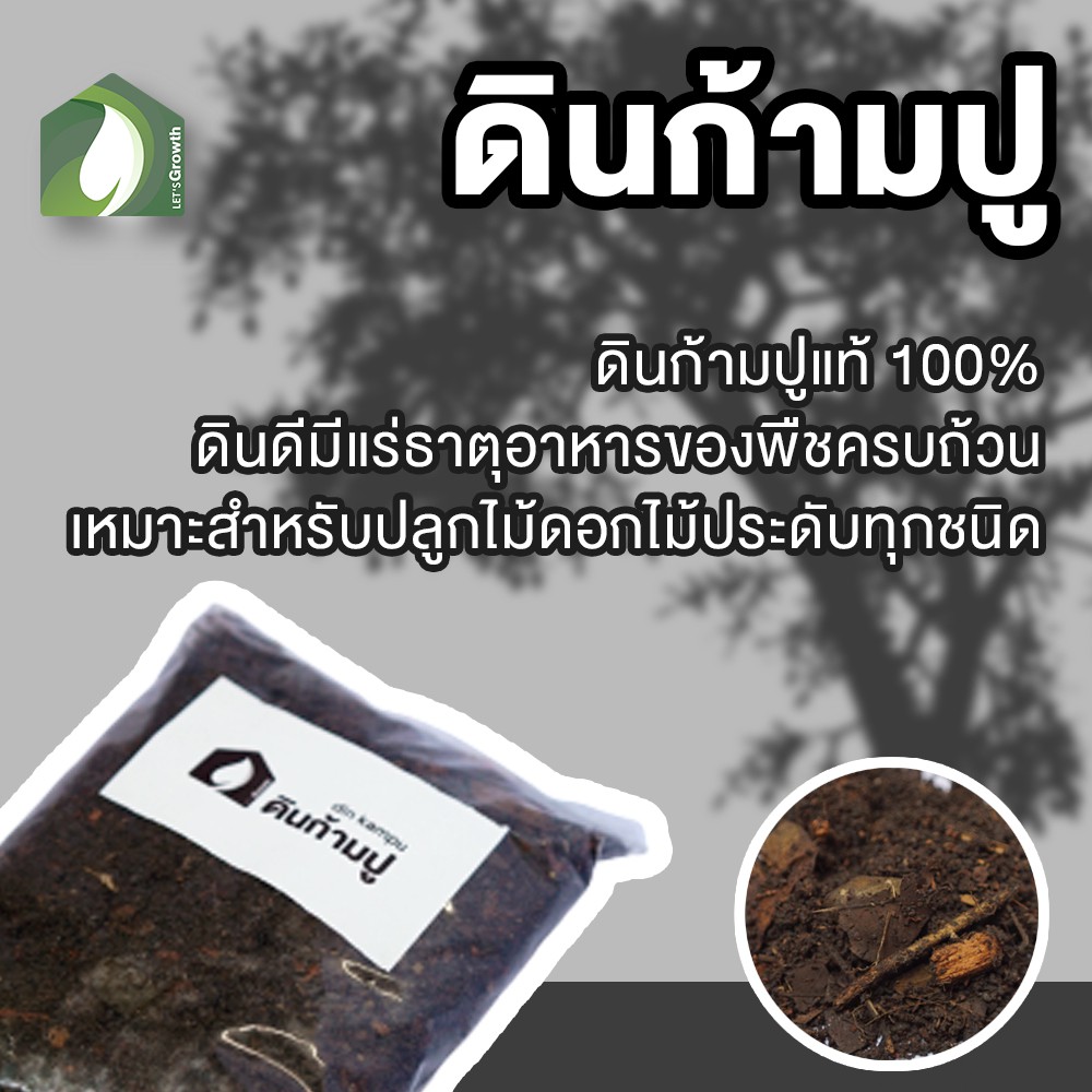 ดินก้ามปู LET’S Growth – โปรปัง