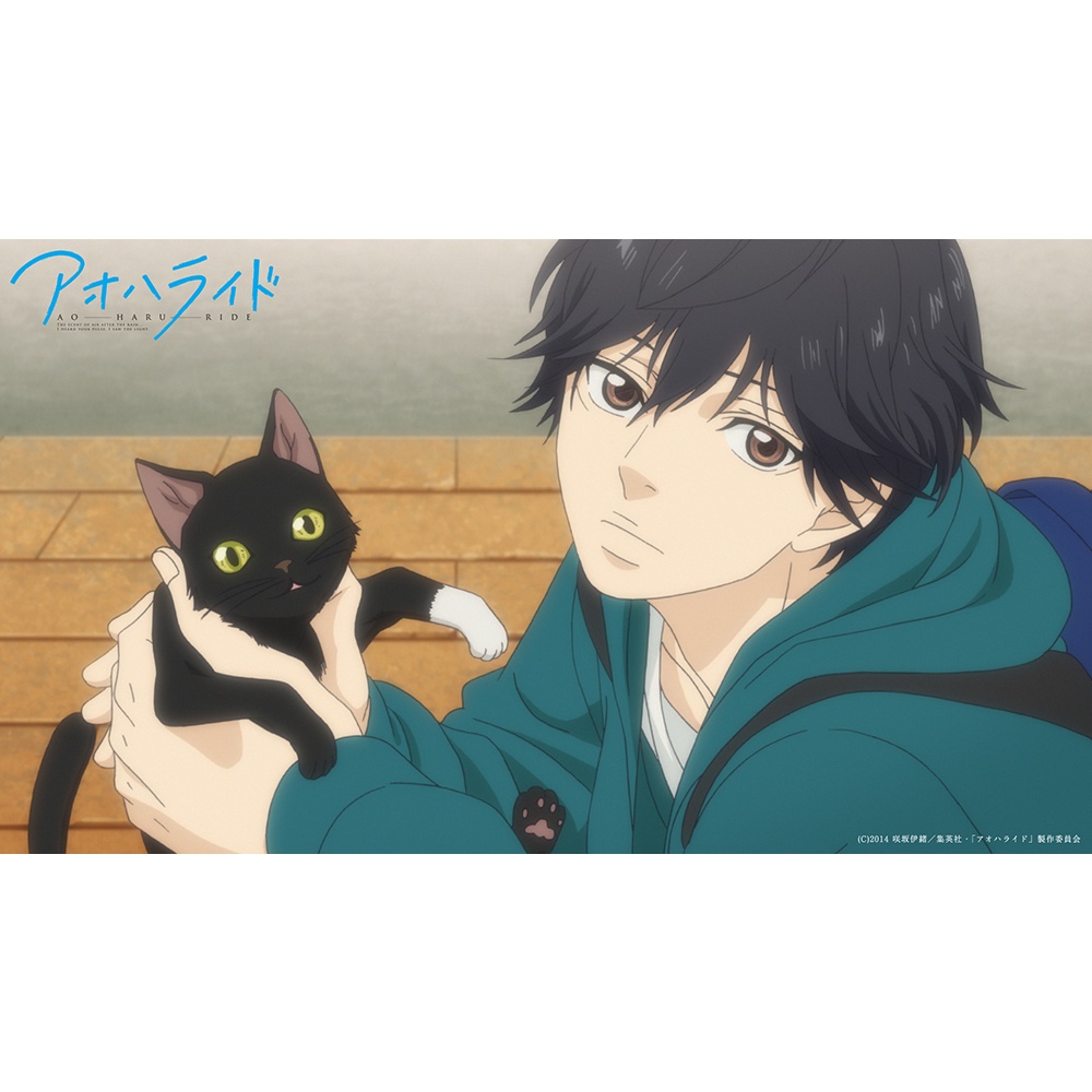 สติ๊กเกอร์ติดผนังอนิเมะ A2, A3, A4 Poster, สติ๊กเกอร์ตกแต่งพร้อมกาว AO HARU RIDE - รุ่น 1