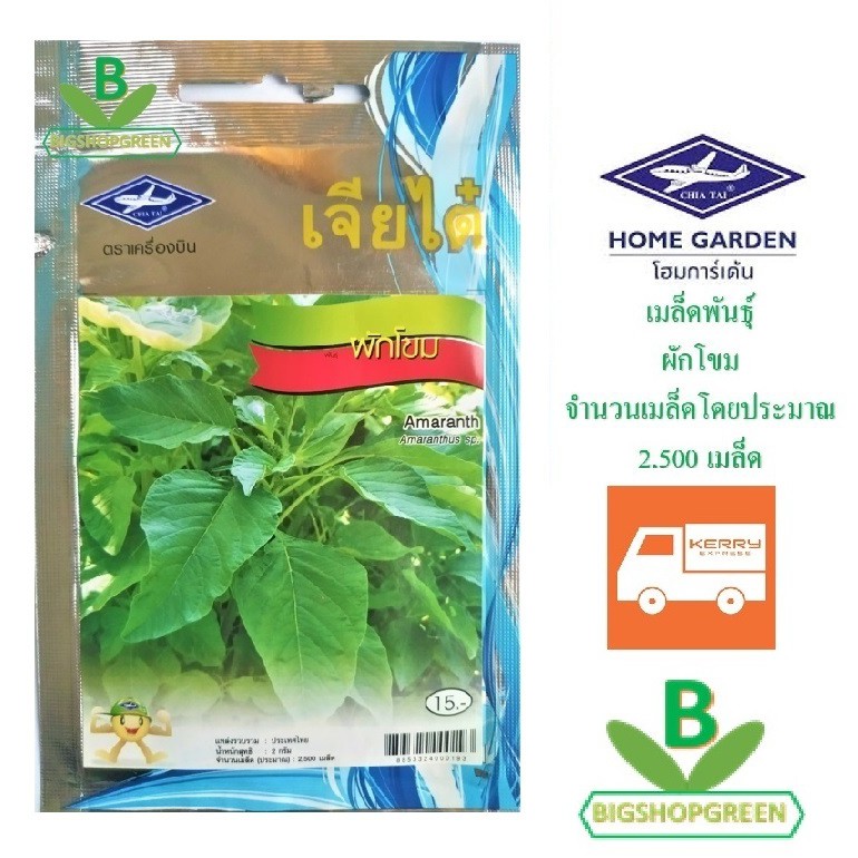 5 ฟรี 1 คละได้ เมล็ดพันธุ์ ผักโขม ตรา เจียไต๋ เมล็ดผัก เมล็ดพันธุ์พืช เมล็ดพืช เมล็ดพันธุ์ผัก เมล็ดผักสวนครัว
