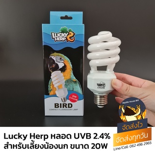 Lucky Herp หลอดUVB 2.4% สำหรับเลี้ยงนกทุกชนิด ขนาด 20w