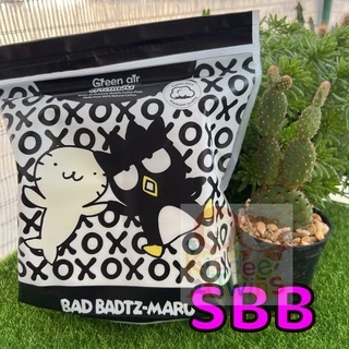 สำลีแผ่น ลิขสิทธิ์แท้Sanrio Cotton100%