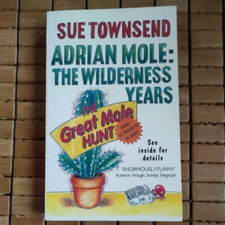 Adrian Mole: The Wilderness Years - Sue Townsend