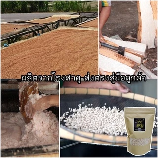 เม็ดสาคูแท้ 100% จากต้นสาคูธรรมชาติ | ออร์แกนิค |คัดเกรด | ของดีจากเมืองพัทลุง | อร่อย ลองแล้วติดใจ |ทำกินง่าย