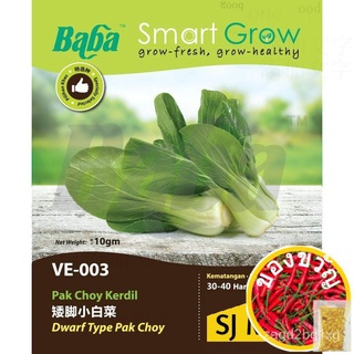 BABA VE-003 DWARF PAK CHOY Seed - Vegetable Seed / Pak Choy Kerdil ต่ํา, ต่ํากว่าปรกติ, สั้นลง, หดสั้นกะหล่ำปลีเมล็ด [SJ