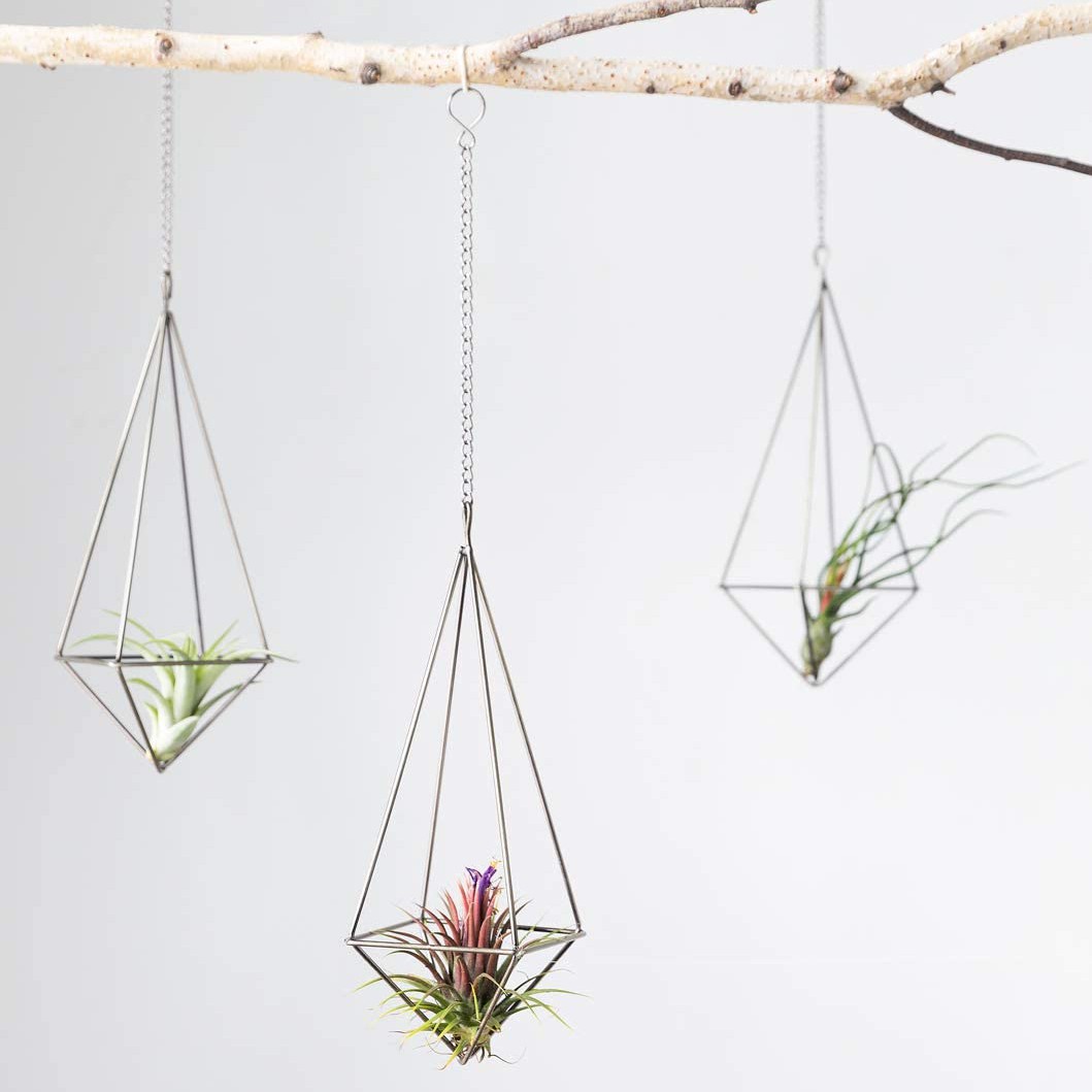 Hanging Air Plant Holder- 4 Pack, 2 Sizes Metal Air Plant Rack 