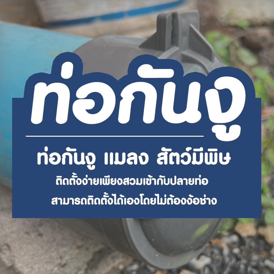 ฝาปิดปลายท่อน้ำทิ้ง กันกลิ่น #ท่อกันงู กันสัตว์ไม่พึ่งประสงค์ มีเก็บปลายทาง #ป้องกันงู *โปรดอ่านข้อควรระวัง*