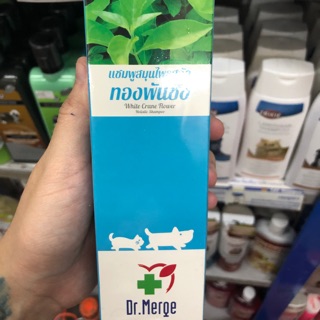 Dr.Merge Holistic Shampoo แชมพูทองพันชั่ง