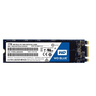 SATA SOLID STATE DRIVE WDSSD1TB-M.2 3D NAND 5YEAR