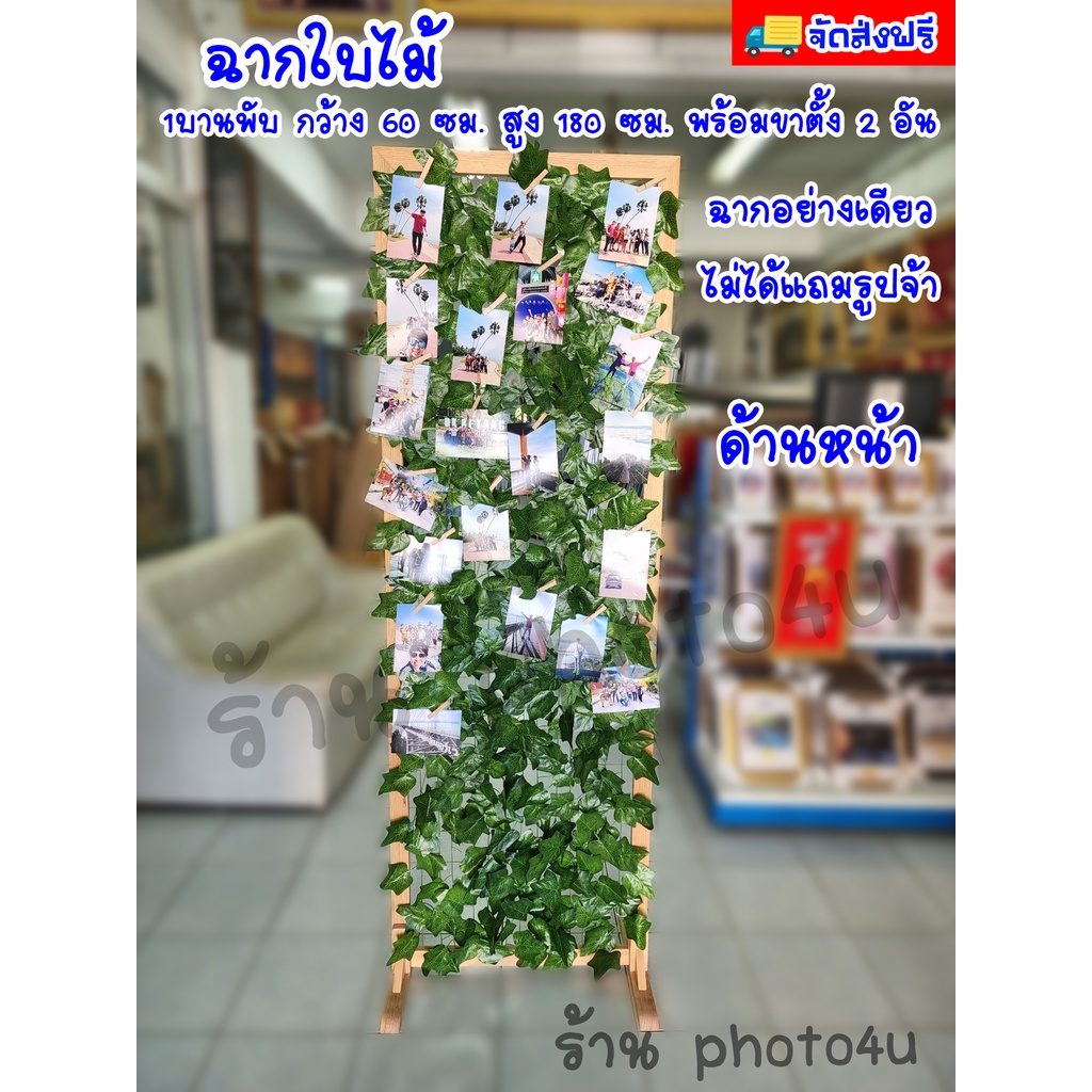 ฉากร้านกาแฟ ฉากบังตา ฉากกั้นใบไม้ ฉากพับกั้นห้อง ฉากแต่งห้อง ฉากสำเร็จรูป  พาทิชั่น partition ฉากเสิ