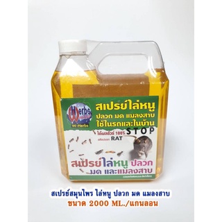 STOP RAT สเปรย์ไล่หนู ปลวก มด แมลงสาบ แกลลอน2000ml. ใช้ได้ทั้งในรถและในบ้าน💢 แถมฟรีขวดสเปรย์💢