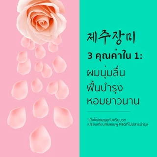 [ใหม่! แพ็คคู่สุดคุ้ม] Rejoice รีจอยส์ เจจู โรส Jeju Rose แชมพู ขนาด 370 ml x2