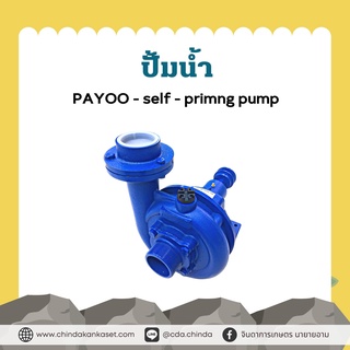 ปั้มน้ำ PAYOO - self - primng pump