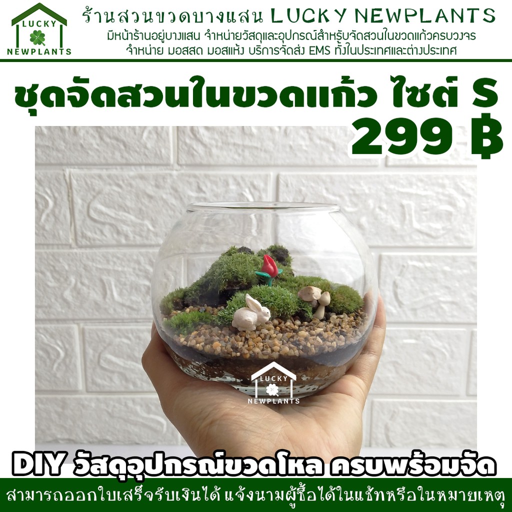 ชุดจัดสวนขวด DIY 299฿ สวนมอสธรรมชาติ ไซต์ S