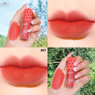 【DREAMER】SANIYE Cross Border Fruit Velvet Matte Texture Non-stick Lip Gloss Not Easy To Fade Lip Gloss