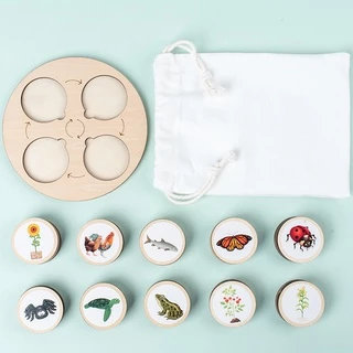 Treeyear Montessori Life ชุดบอร์ดวงจรปริศนา วงจรชีวิต สัตว์ พืช และแมลง ของเล่นเสริมพัฒนาการ สําหรับเด็กวัยหัดเดิน