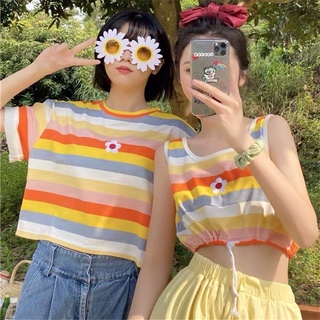 มือ 1 เสื้อครอปไหมพรม แขนสั้นเรนโบว์ 💐