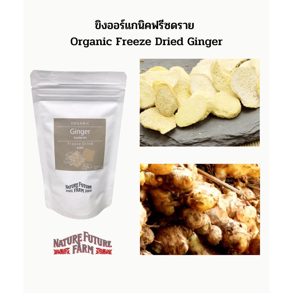 🫚 ขิงฟรีซดรายออร์แกนิคแท้ 100% | Premium Organic Freeze-Dried Ginger