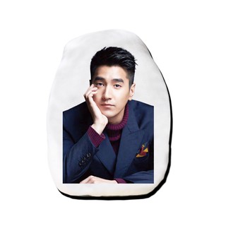 หมอนไดคัท สั่งทำ ตุ๊กตา ตุ๊กตาหน้าเหมือน หมอนตุ๊กตา เจ้าโย่วถิง Mark Chao เยี่ยหัว สามชาติสามภพป่าท้อสิบหลี่