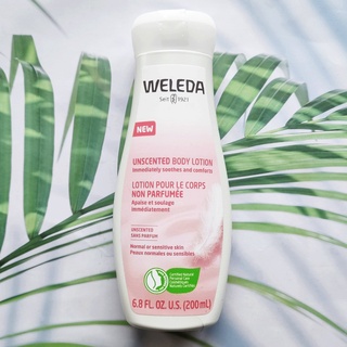 (Weleda®) Unscented Body Lotion 200 ml โลชั่นผิวกาย ให้ความชุ่มชื้น ไม่แห้งกร้าน Normal or Sensitive Skin