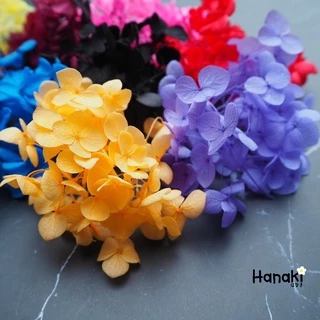 【พร้อมส่ง】🌻ดอกไฮเดรนเยียแห้ง ไฮเดรนเยียกลีบเล็ก🌻 Preserve hydrangeas ดอกไม้ทำเรซิ่น