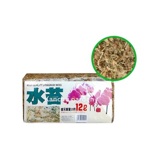 สแฟกนั่มมอส (LY) 6L, 12L (มีของพร้อมส่ง) 1 ชิ้น Sphagnum Moss 绿韵水苔 (一袋)