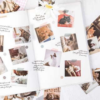 สติกเกอร์กล่อง Cat Photo 😻 46 ชิ้น DIY Sticker Stickers Box สติ๊กเกอร์ ไดคัท mimisplan