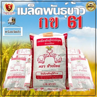 เมล็ดพันธ์ุข้าว กข 61 กระสอบ 25 Kg. ( นาปรัง) มีสินค้าพร้อมส่งทันที