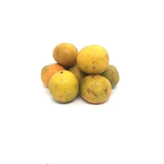 🍊ส้มสายน้ำผึ้ง [👍ใช้คั้นน้ำ 💲เบอร์ลาย] ขอคนเข้าใจส้มเบอร์ลาย - ส้มสำหรับคั้นน้ำขาย