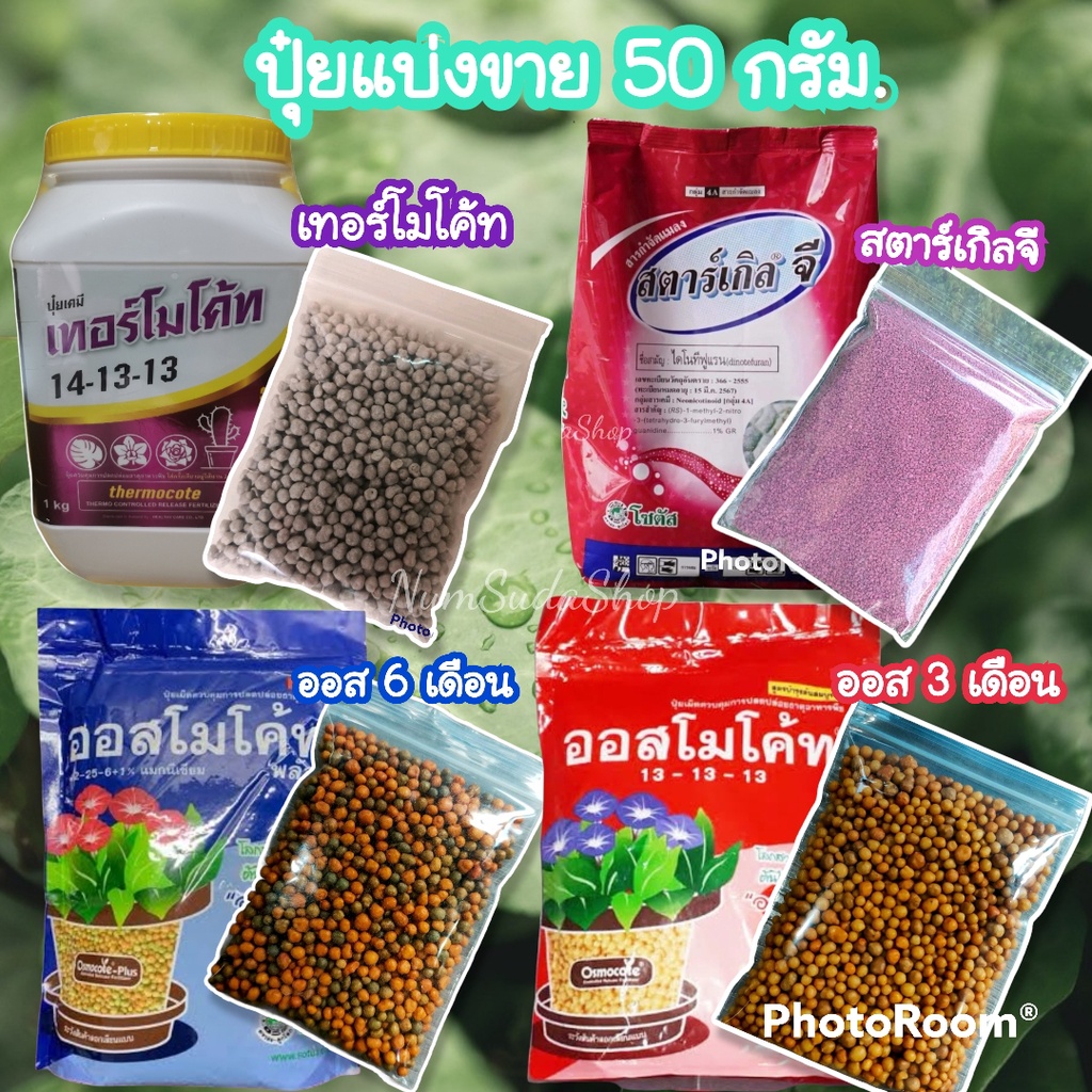 ออสโมโค๊ท ปุ๋ยละลายช้า 13-13-13 สูตร 12-25-6+1% และ ปุ๋ยเทอร์โมโค้ท 14-13-13 ปุ๋ยละลายช้า แบ่งขาย 10